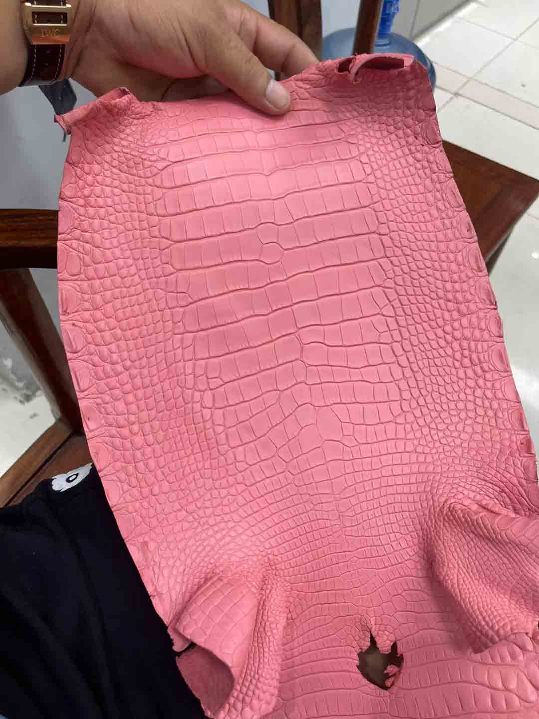哑光雾面美洲鳄