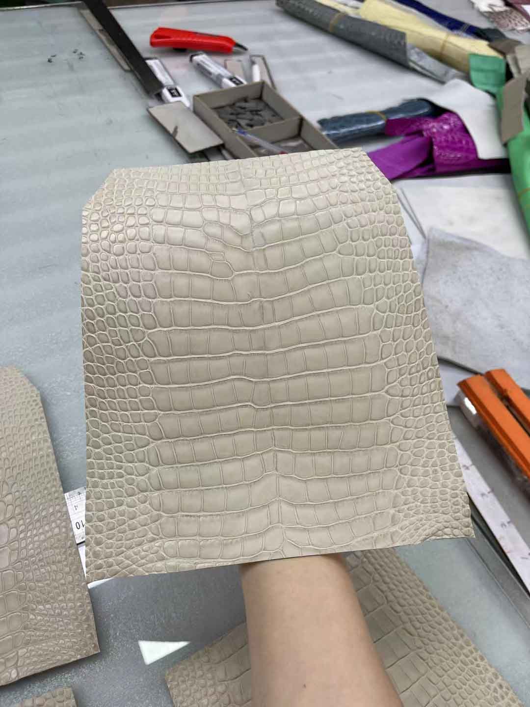 Hcp进口美洲鳄