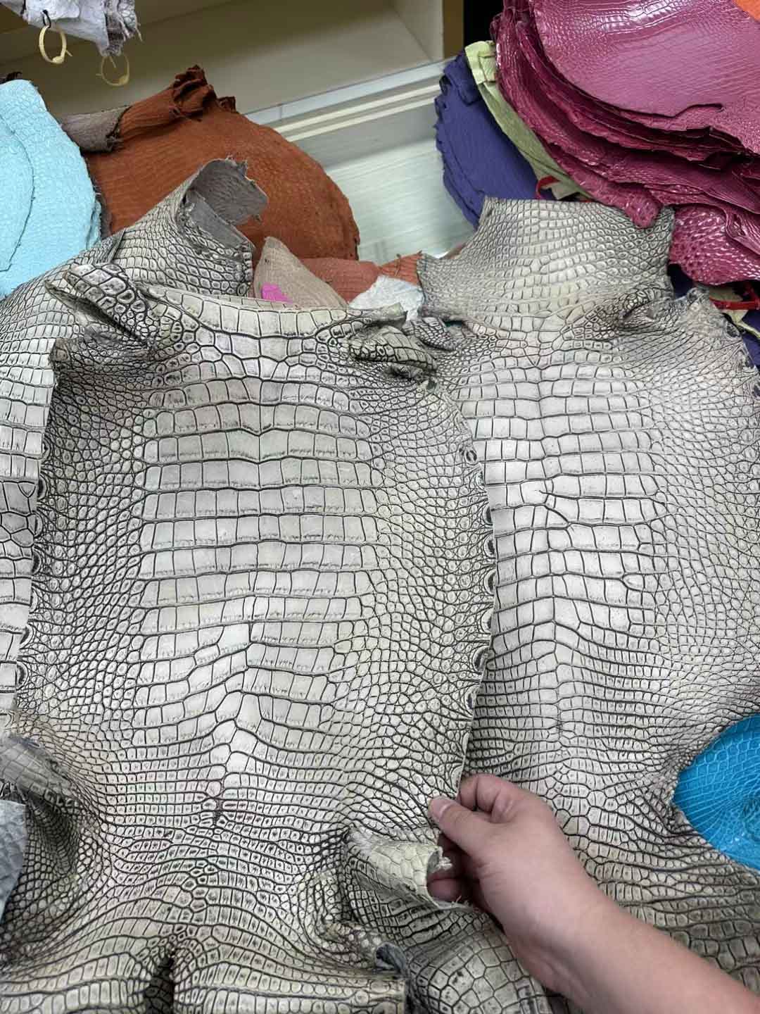 特效美洲鳄鱼皮