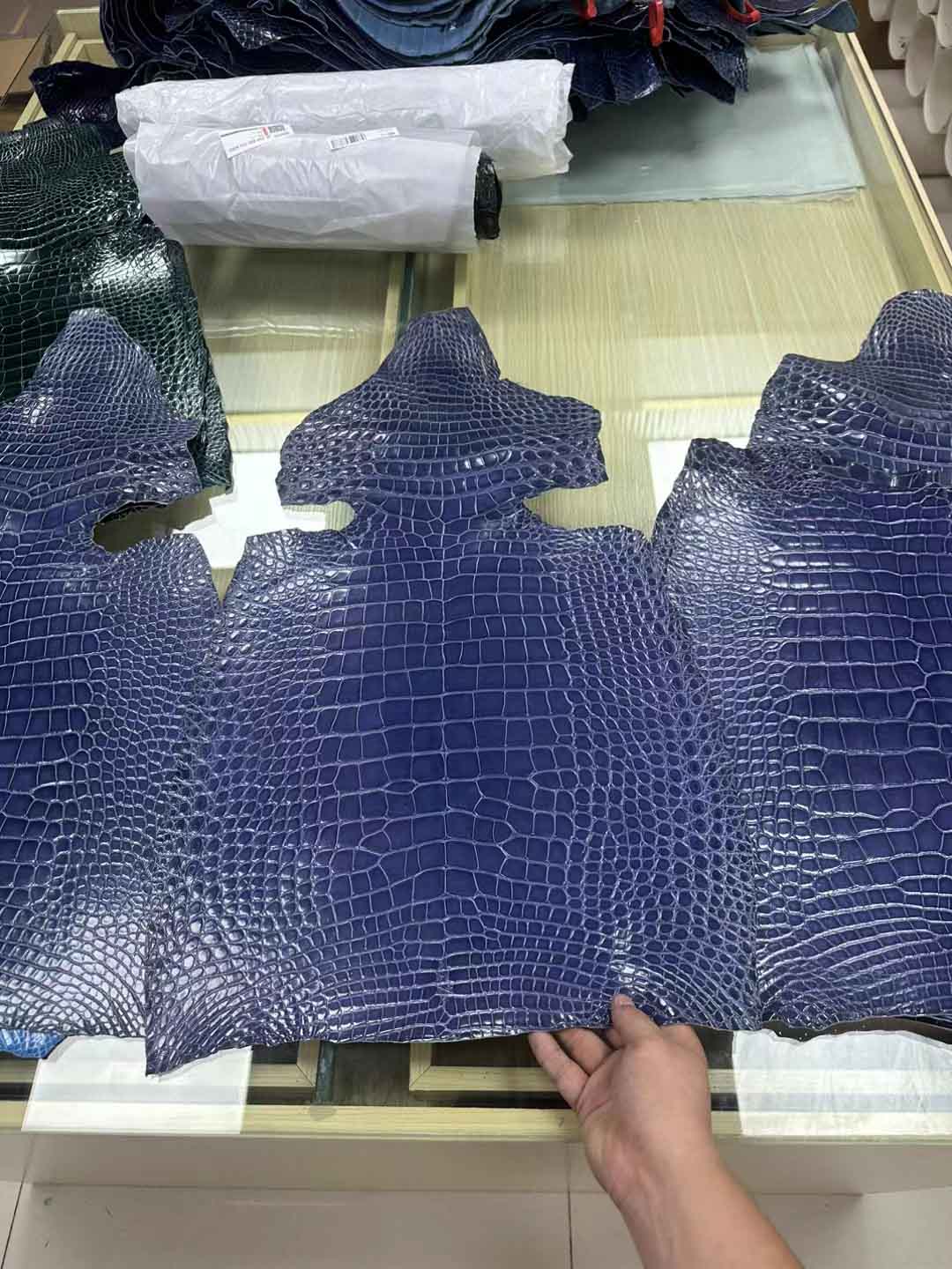 水墨蓝美洲鳄
